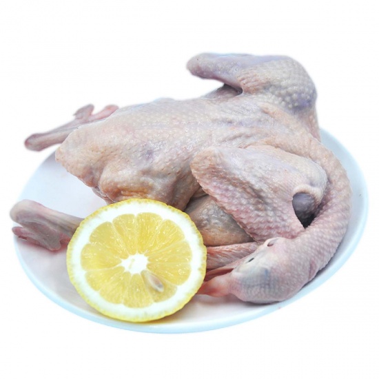 Chim bồ câu pháp ra ràng làm sạch ngon bổ, giá tốt
